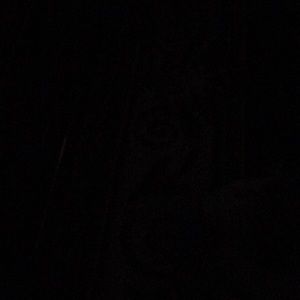 Meet your Posher, Armando